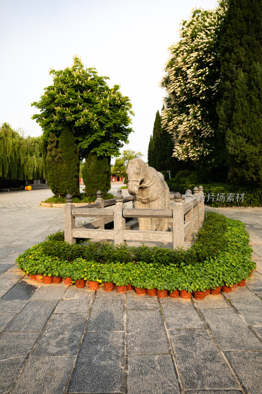 河南洛阳白马寺白马景点景观