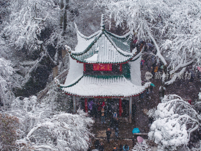 爱晚亭雪景