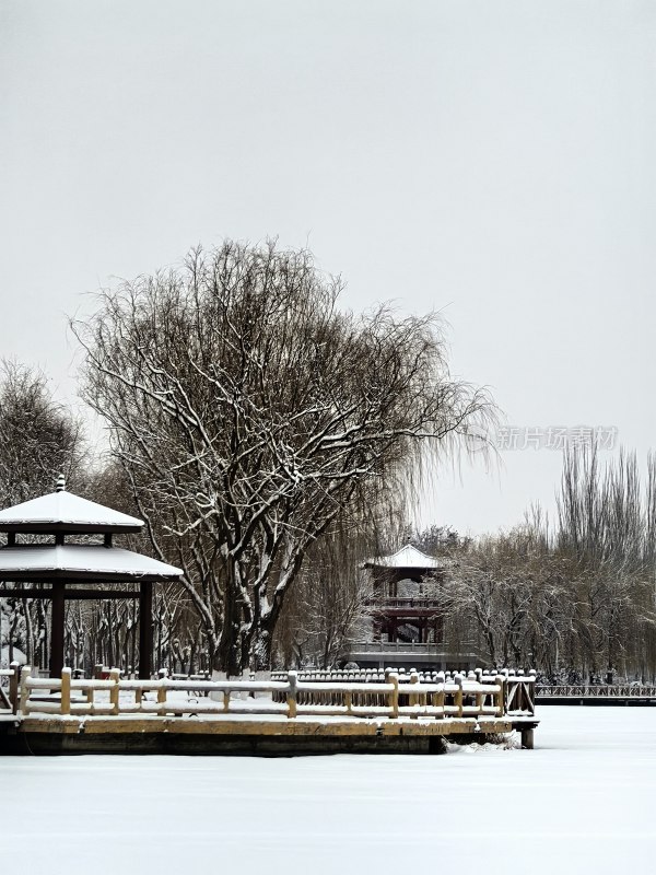 雪中公园亭子与树木的冬日美景