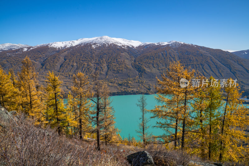 新疆北疆阿勒泰喀纳斯风景区喀纳斯湖