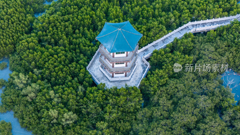 惠东县盐洲海洋湿地公园