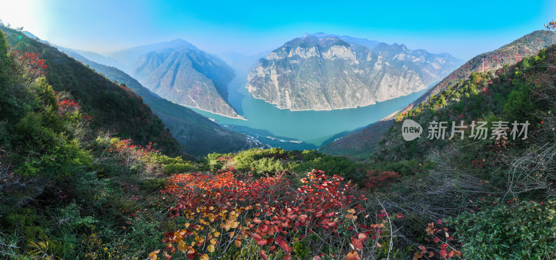 长江三峡巫峡红叶