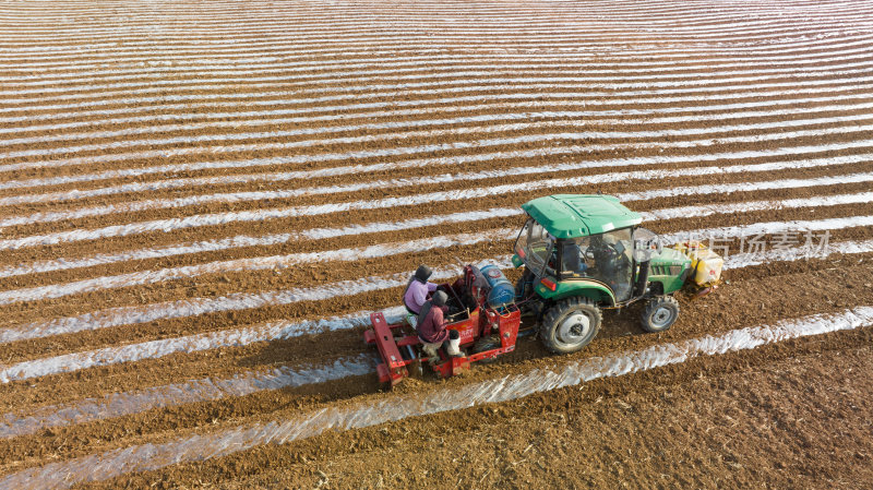 田野里拖拉机起垄覆盖地膜播种土豆
