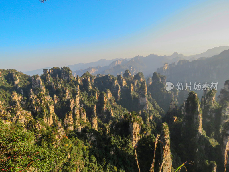 中国湖南张家界国家森林公园旅游风光