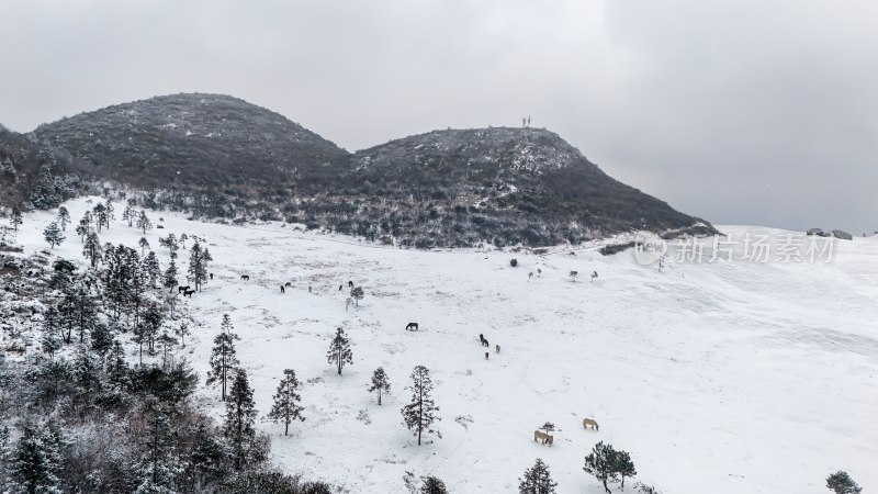 重庆酉阳：大雪纷飞赏雪忙