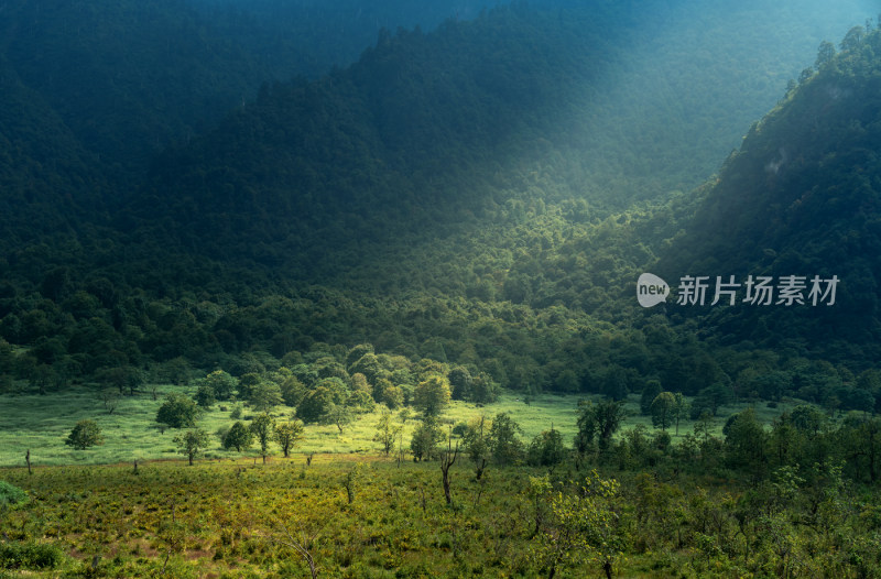 乐山峨边黑竹沟马里冷旧