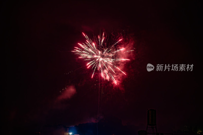 夜空中绽放的绚丽烟花