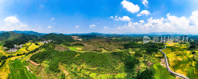 美丽乡村田园金黄稻田航拍全景图