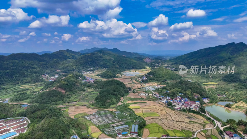 山川丘陵美丽乡村田园秋收景色航拍图