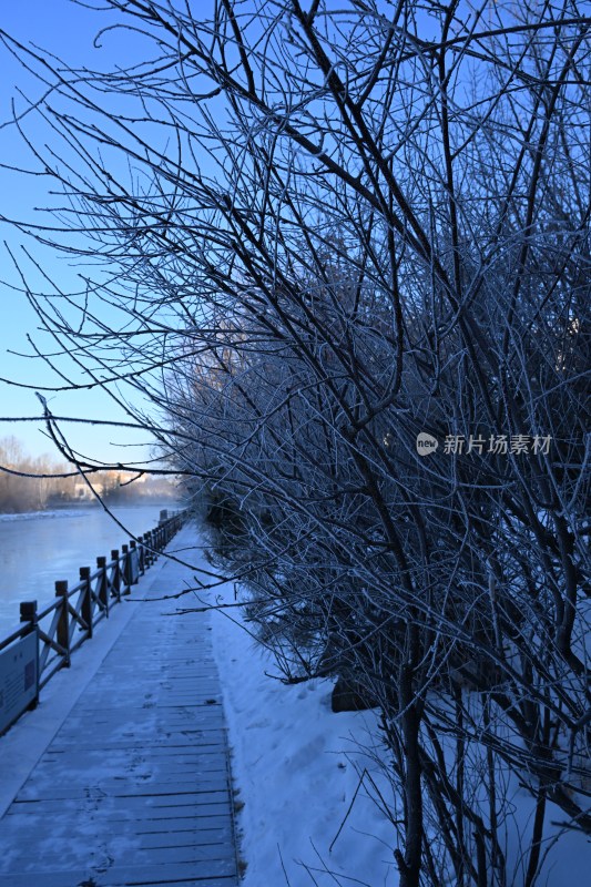 积雪覆盖的河边步道与雾凇枯枝的景象