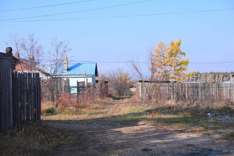 秋天的林中小屋小木屋