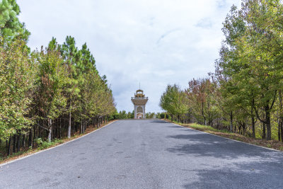 武汉江夏区藏龙岛国家湿地公园风景