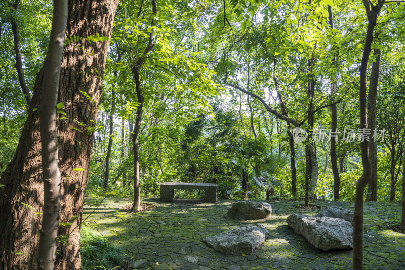 杭州吴山龙宫风景