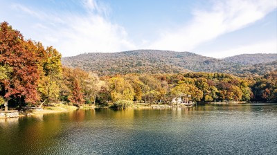 秋日山林中的宁静湖泊