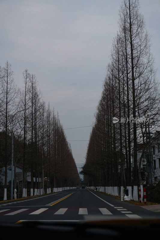 道路、前进的道路