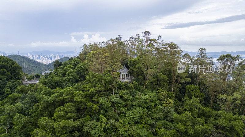 航拍深圳塘朗山公园听涛亭风景