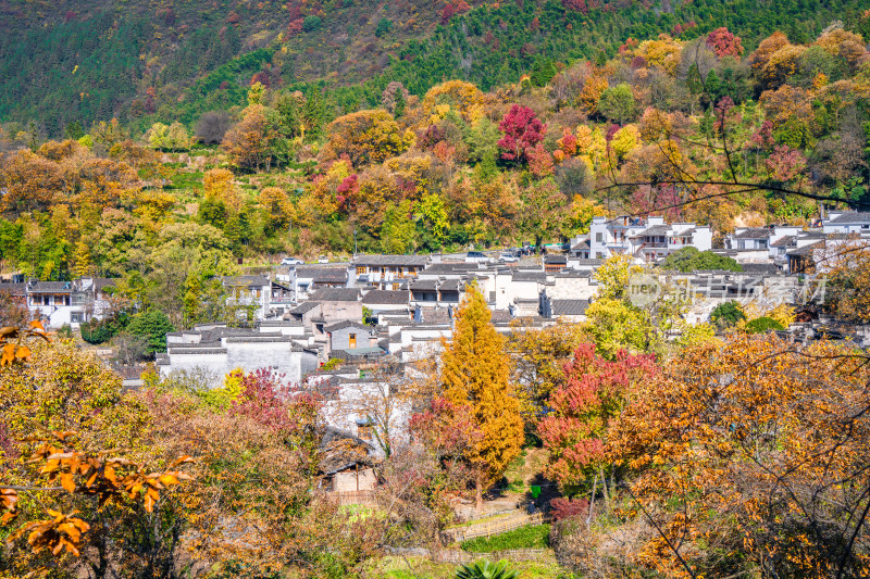 皖南秋色塔川国家森林公园