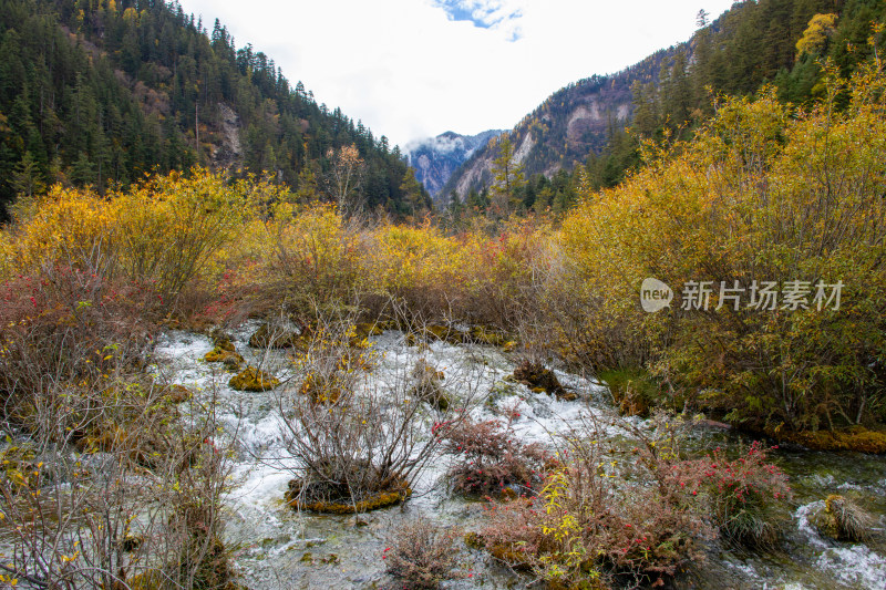 九寨沟秋色，珍珠滩彩林山谷溪流