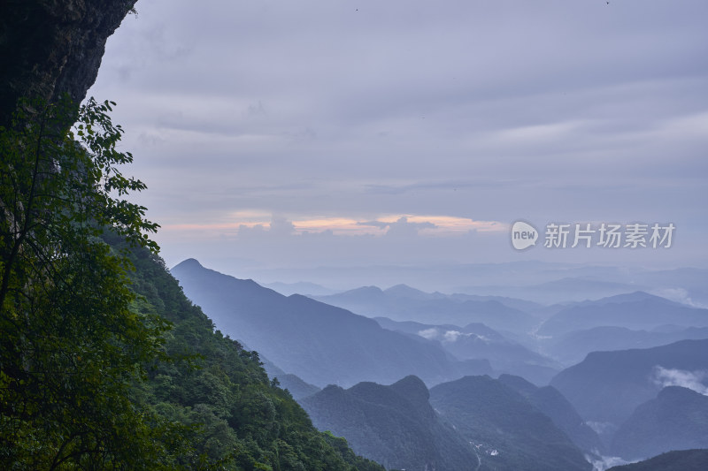 云雾缭绕的金佛山