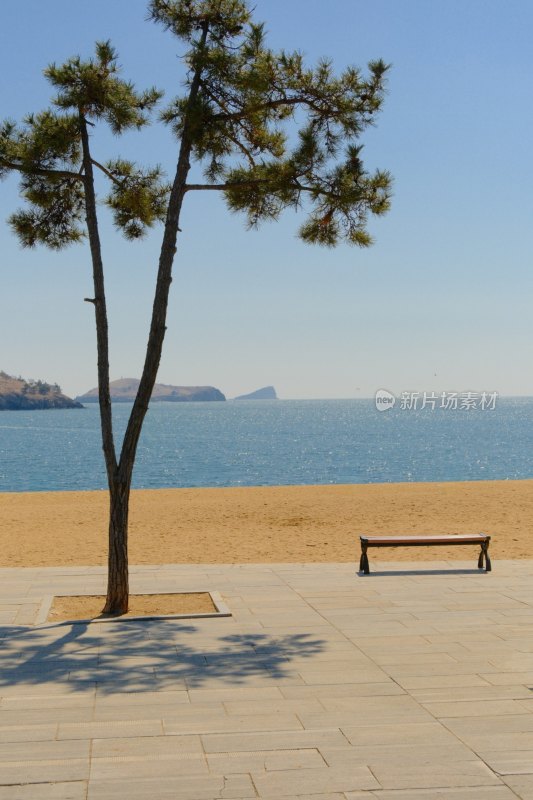 大连付家庄海滨浴场