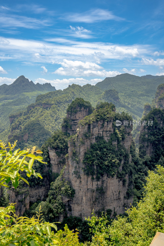 中国湖南张家界景区奇特山峰与茂密森林