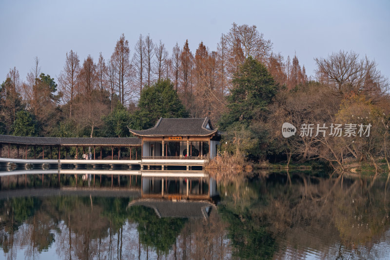 浙江杭州西湖杨公堤雷峰塔秋季风光