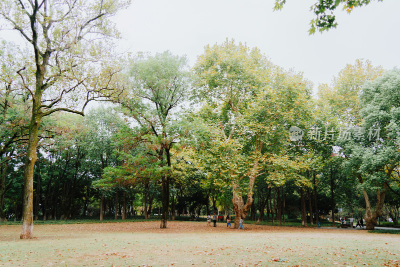 衢州府山公园