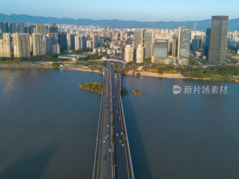 福州城市中色彩斑斓的树林全景