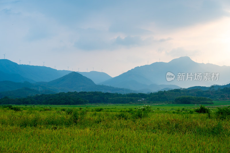 高山田野景观