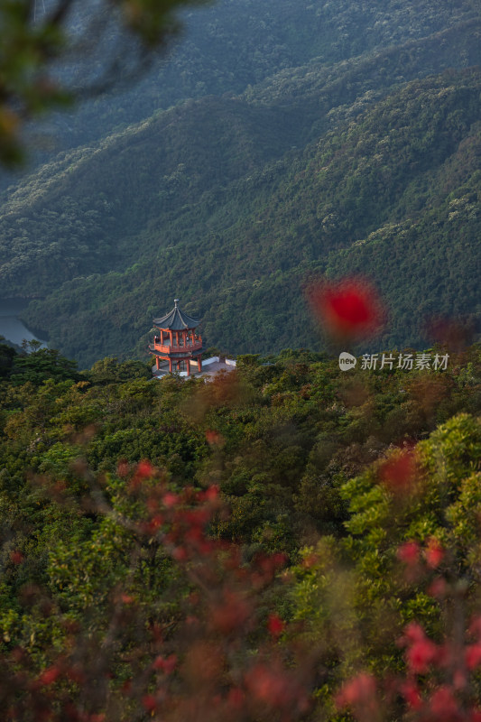 深圳梧桐山