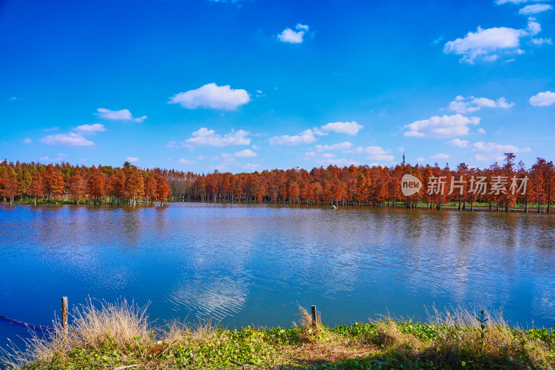 上海青西郊野公园