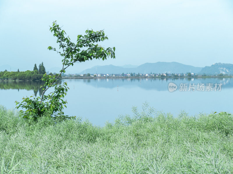 绍兴江南水乡东鉴湖风景