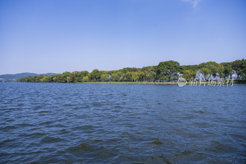 杭州西湖花港观鱼风景