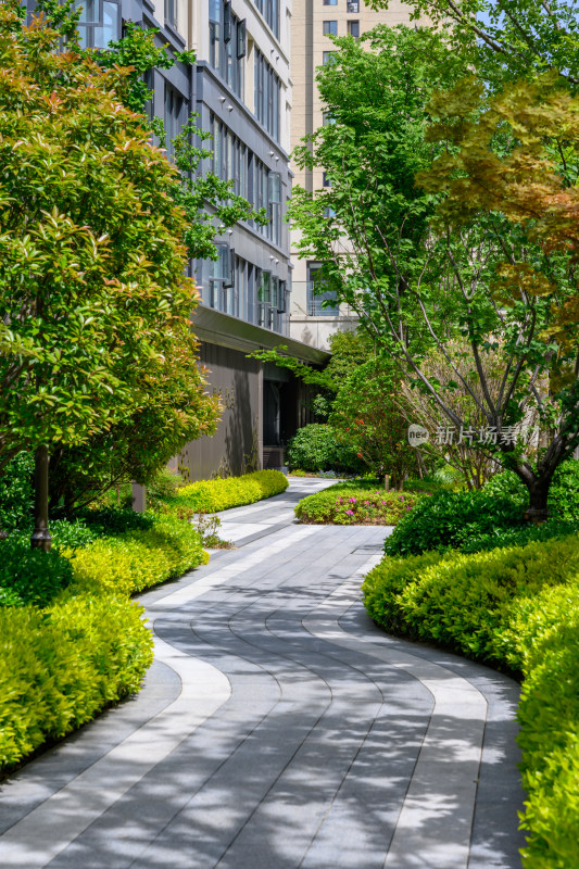 夏季白天商业住宅小区内部景观