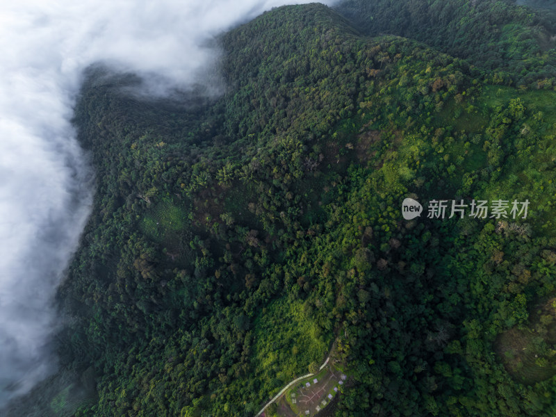 航拍山间云雾中的森林