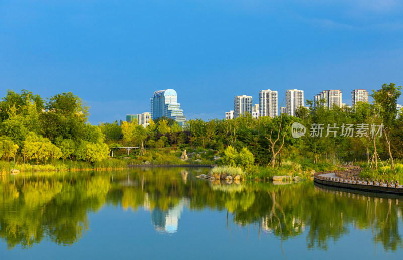 雨过天晴的公园风景