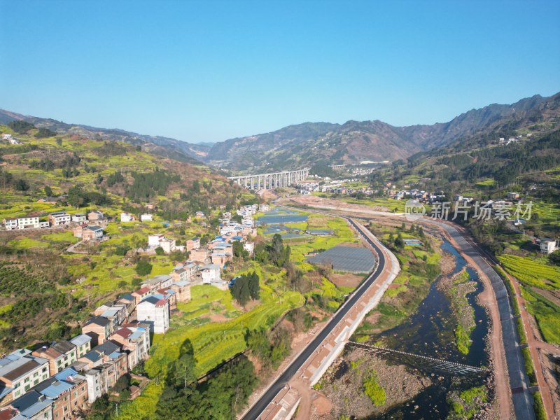 航拍乡村油菜花田