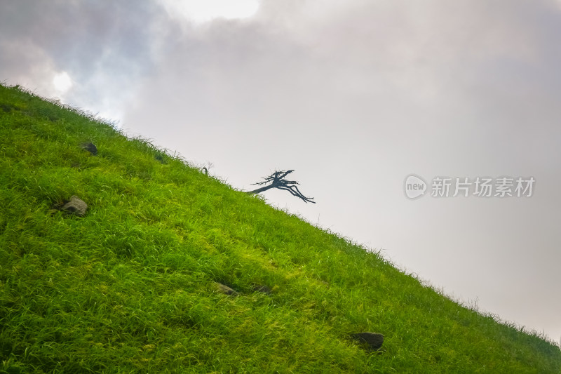 江西武功山高山草甸