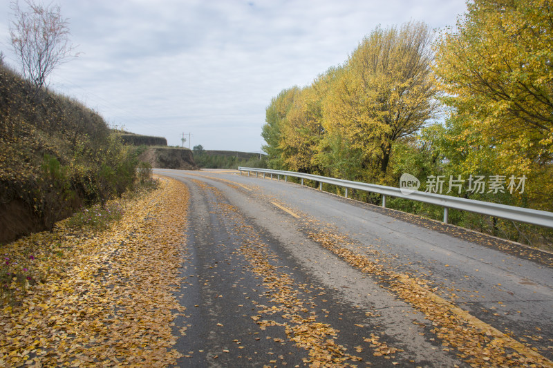 秋天的乡村公路