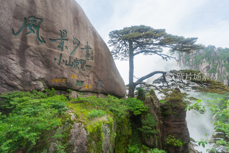 自然风光黄山风景区喀斯特地貌迎客松