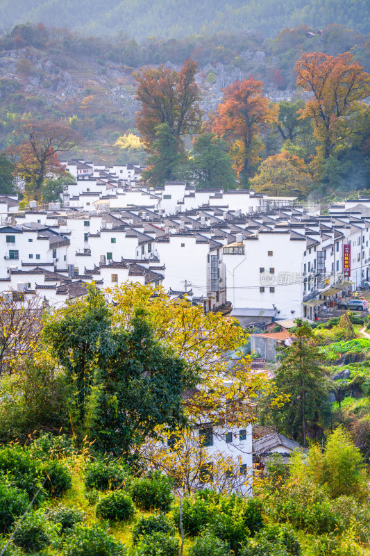 航拍江西婺源石城徽派建筑秋色枫叶村庄日出