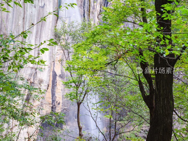 河南省洛阳白云山九龙潭夏季瀑布