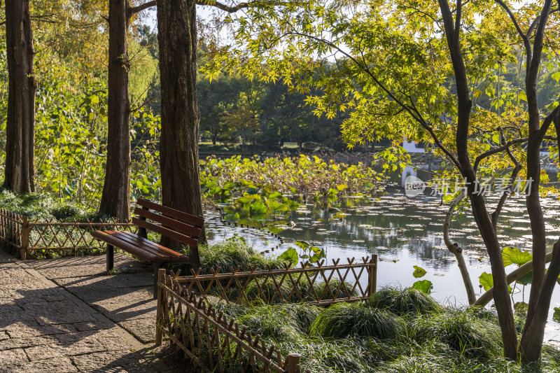 杭州西湖风景区曲院风荷风景