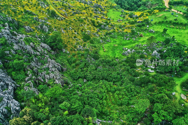 景德镇的高山花园