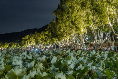 杭州西湖断桥景点夜景