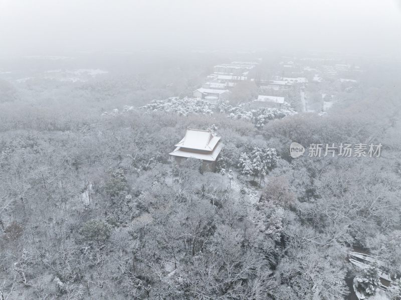 南京明孝陵雪景