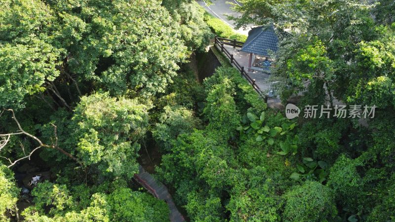 广东东莞银瓶山森林公园清溪景区登山步道