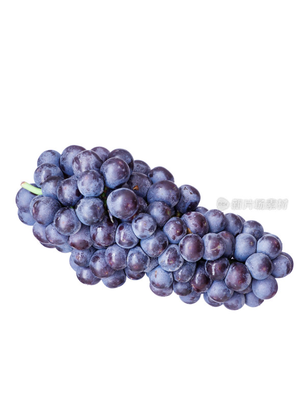一串新鲜水果紫葡萄的白底图