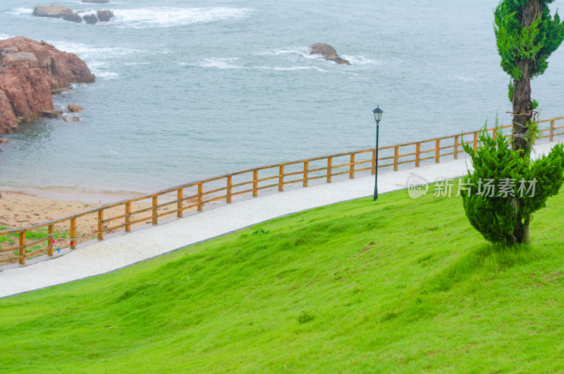 青岛小麦岛，弯曲的海岸线，绿色的草坪