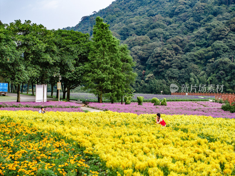 中国广州市从化区石门国家森林公园